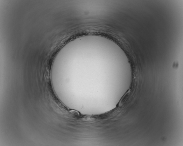 X0000111250419200907161410