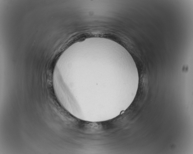 X0000111250421200907161410