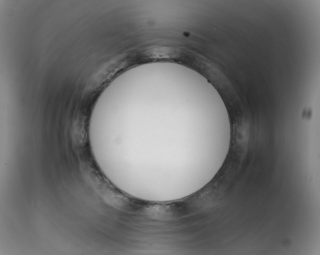 X0000111250422200907161410