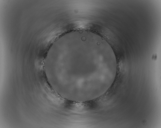 X0000111250423200907161410