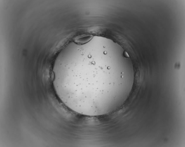 X0000111250424200907161410