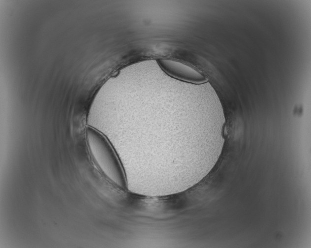 X0000111250425200907161410