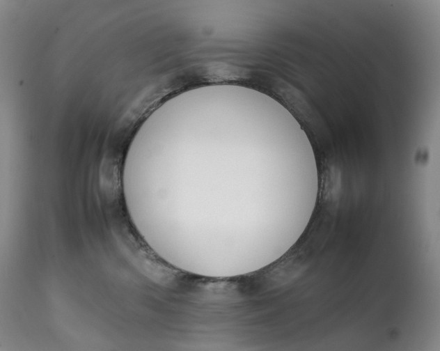 X0000111250426200907161410