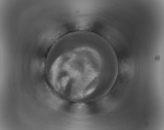 X0000111250427200907161410