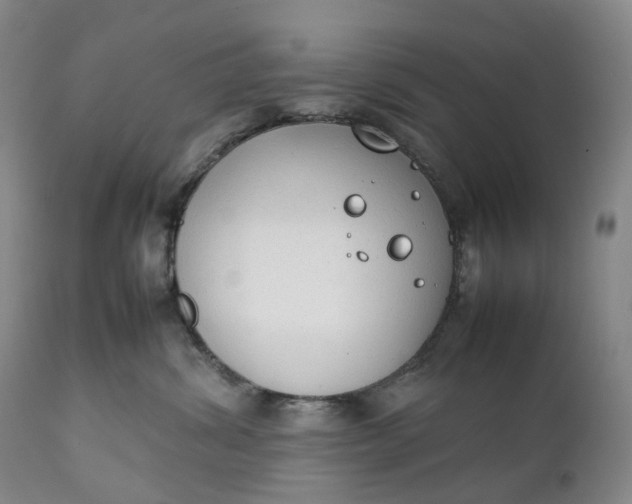 X0000111250428200907161410