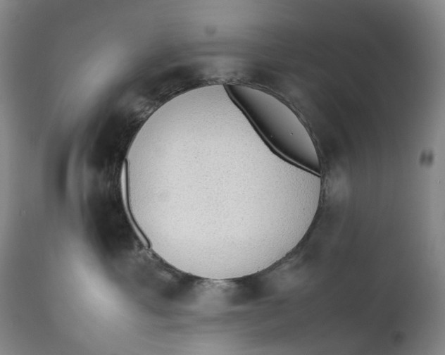 X0000111250429200907161410