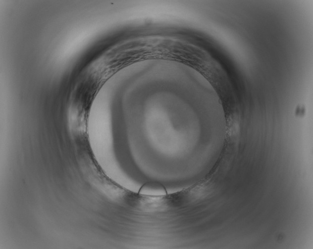 X0000111250431200907161410