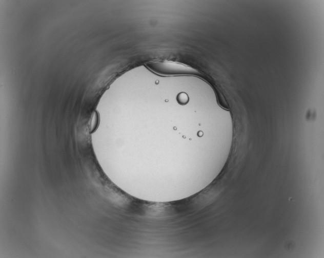 X0000111250432200907161410