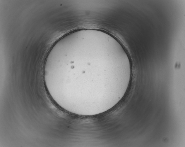 X0000111250433200907161409