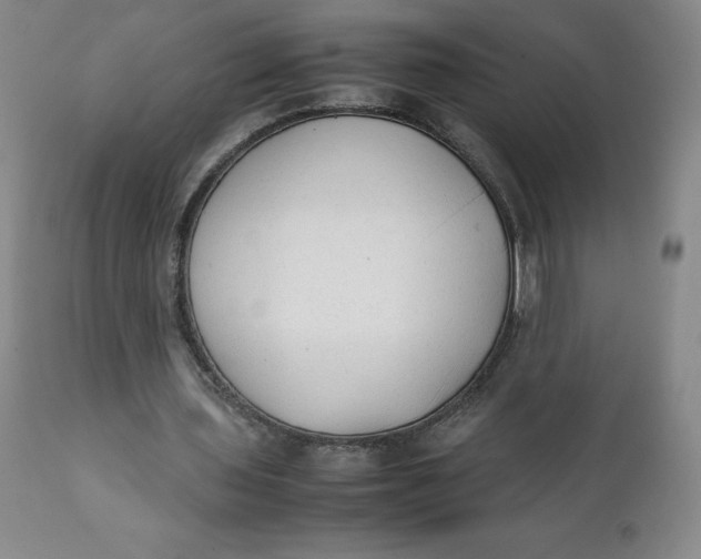 X0000111250435200907161409