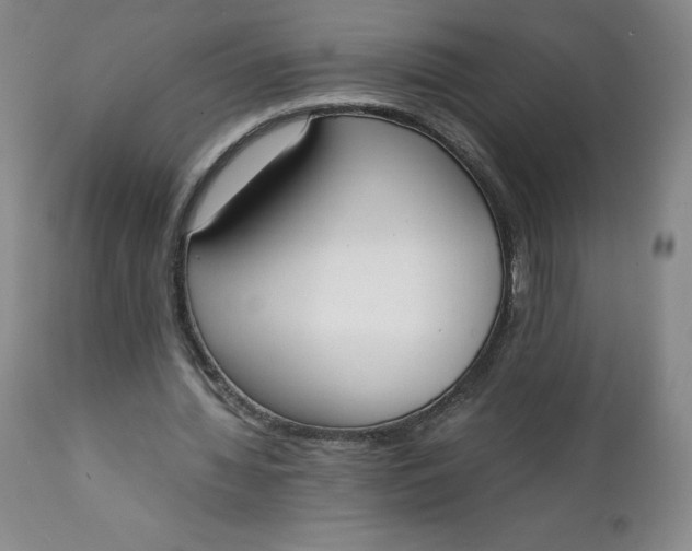 X0000111250436200907161409