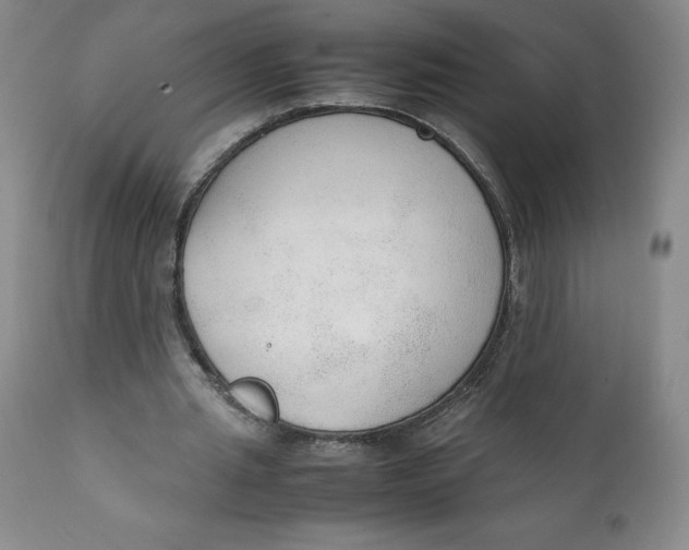 X0000111250437200907161409