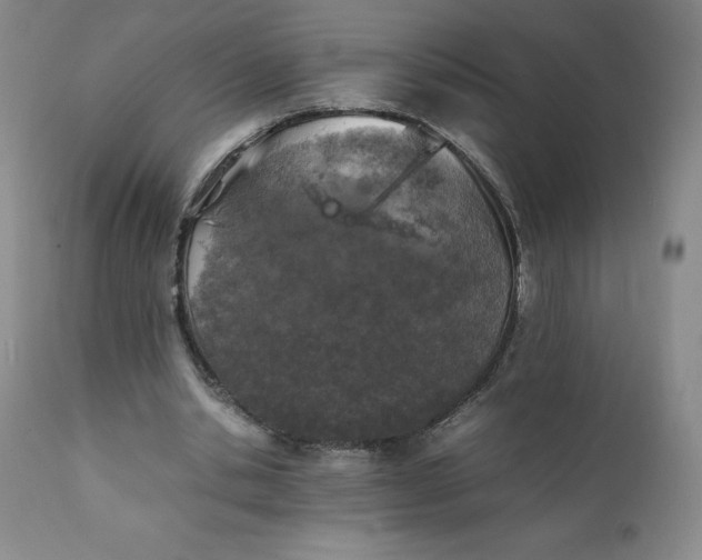 X0000111250438200907161409