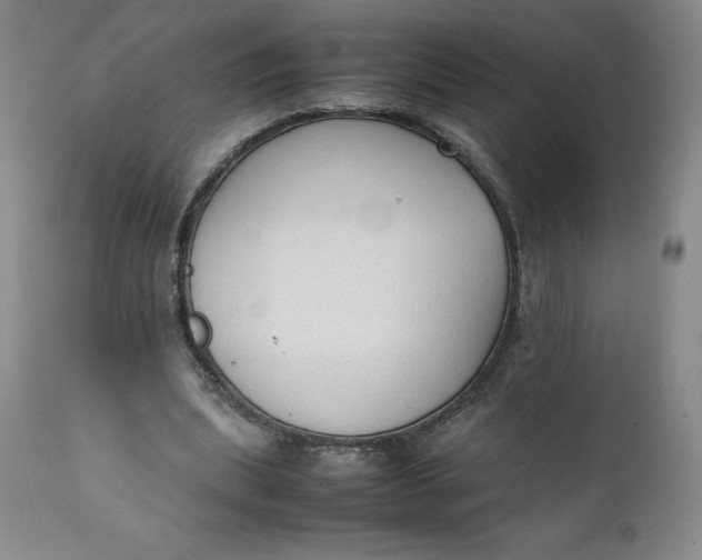 X0000111250439200907161409