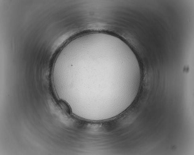 X0000111250440200907161410