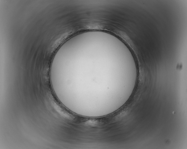 X0000111250441200907161410