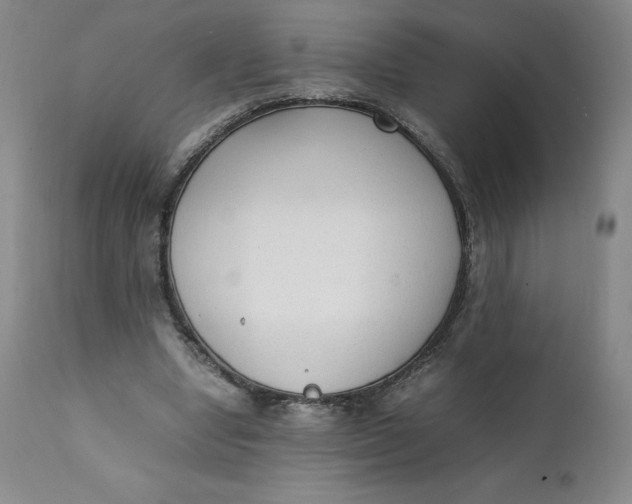 X0000111250442200907161410