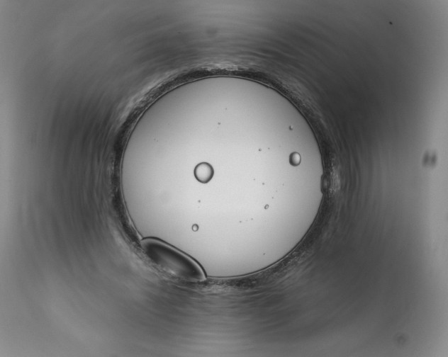 X0000111250444200907161410