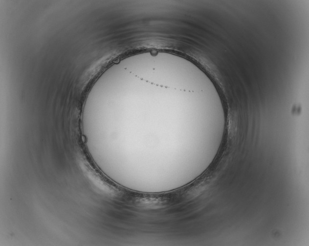 X0000111250445200907161410