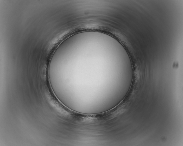 X0000111250446200907161410