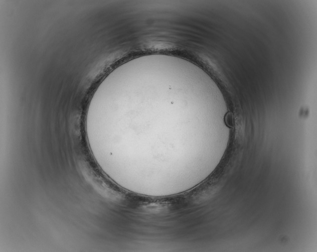 X0000111250447200907161410