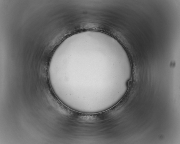 X0000111250449200907161410