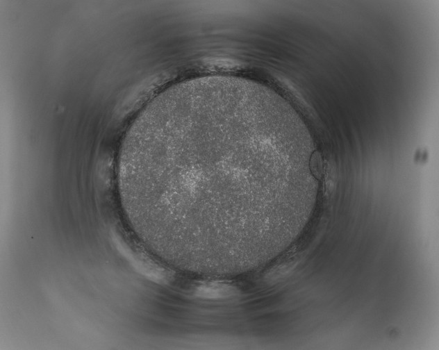 X0000111250451200907161410