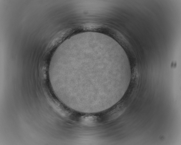 X0000111250452200907161410