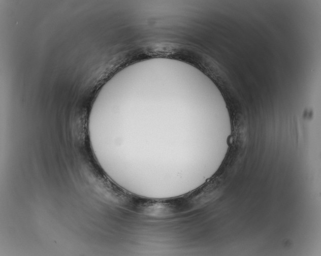 X0000111250460200907161410