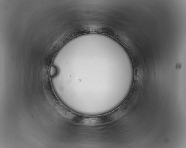 X0000111250461200907161410