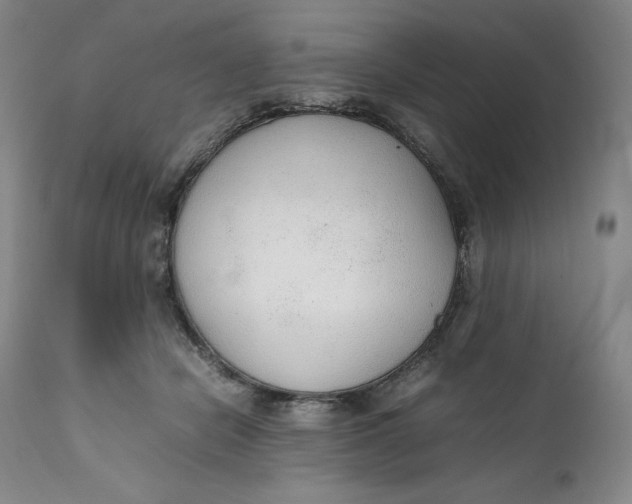 X0000111250462200907161410