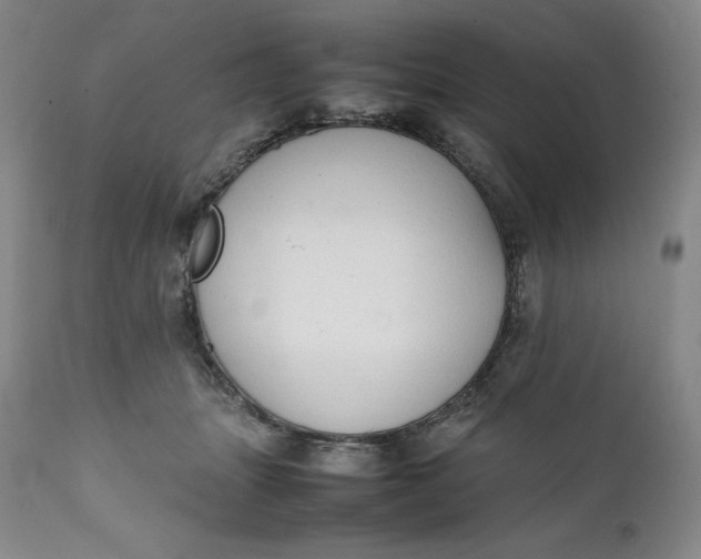 X0000111250463200907161410