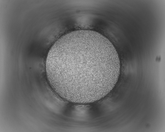 X0000111250465200907161410