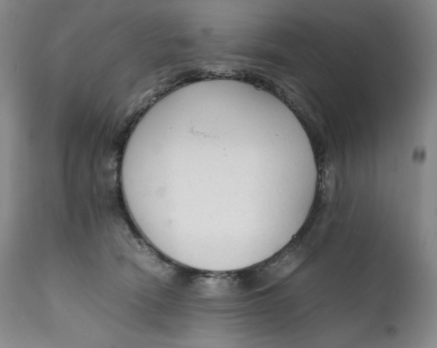 X0000111250466200907161410