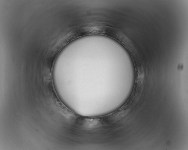 X0000111250469200907161410