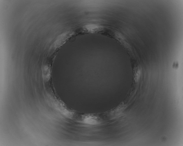 X0000111250471200907161410