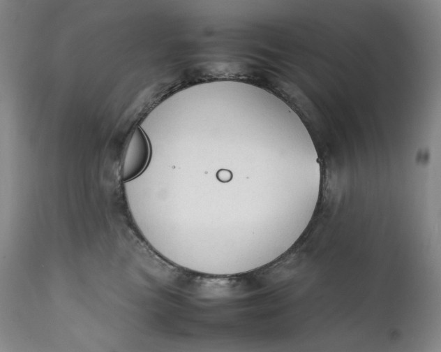 X0000111250473200907161410