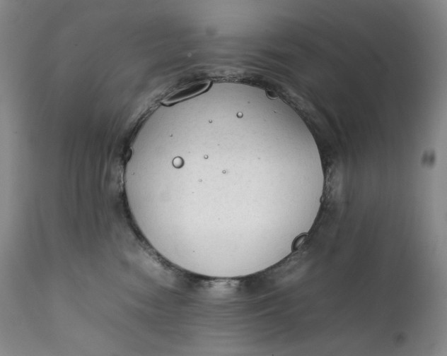 X0000111250474200907161410