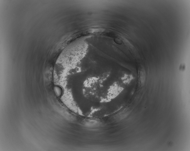 X0000111250475200907161410