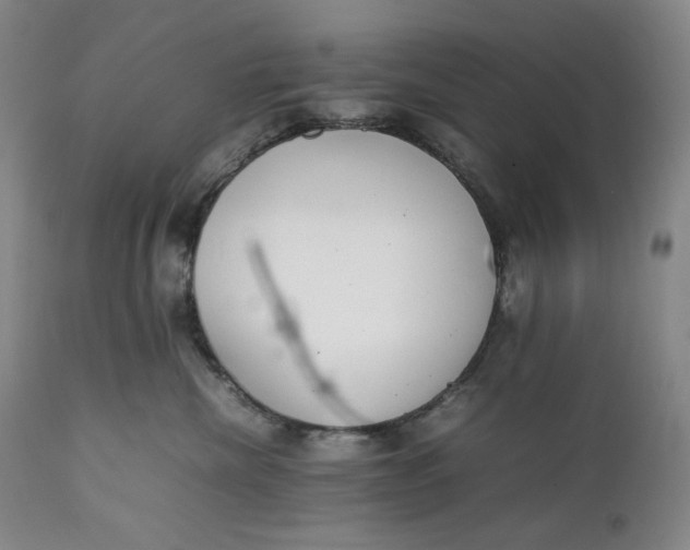 X0000111250476200907161410