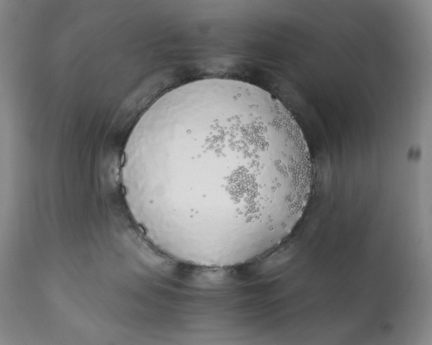 X0000111250479200907161410