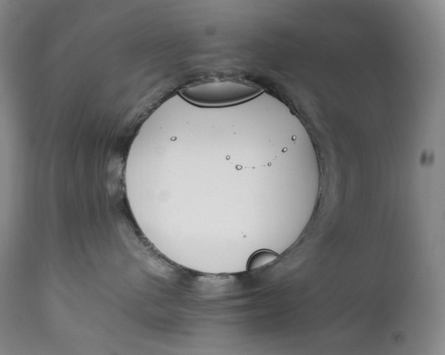 X0000111250480200907161410