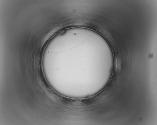 X0000111250483200907161409