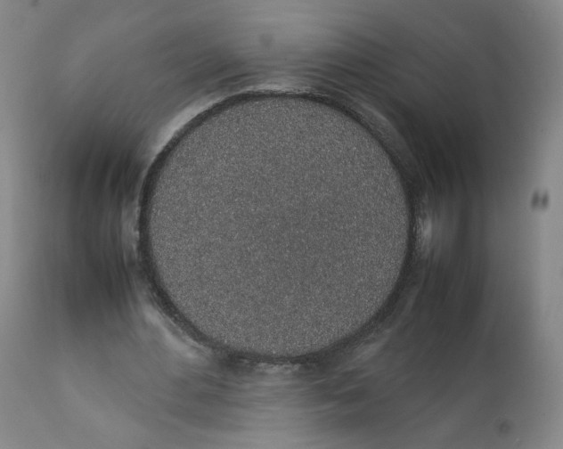 X0000111250484200907161409