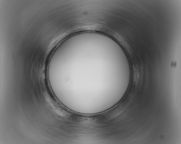 X0000111250486200907161409