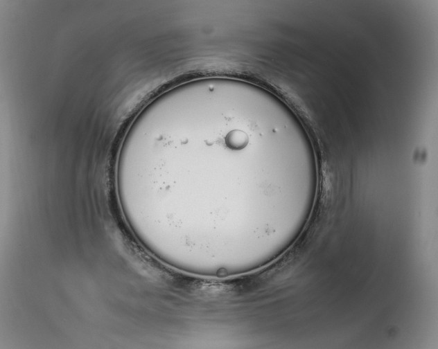 X0000111250487200907161409