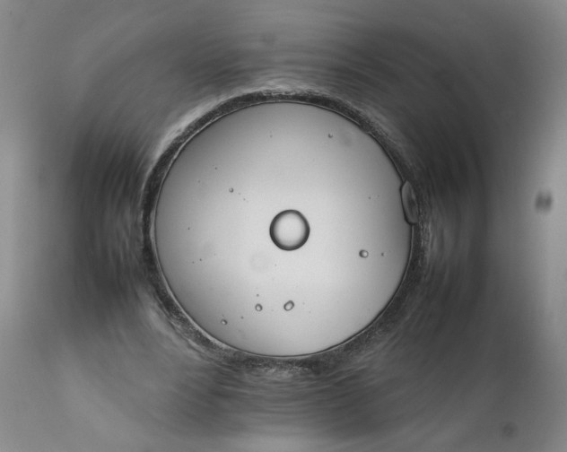 X0000111250488200907161409