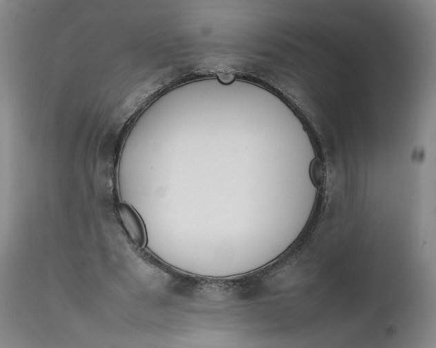 X0000111250489200907161409