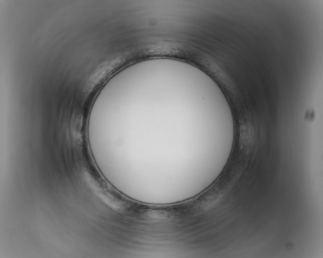 X0000111250490200907161409