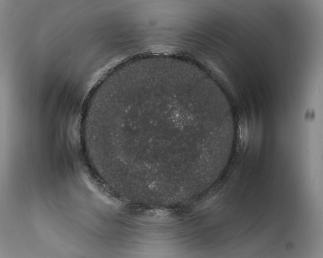 X0000111250492200907161409